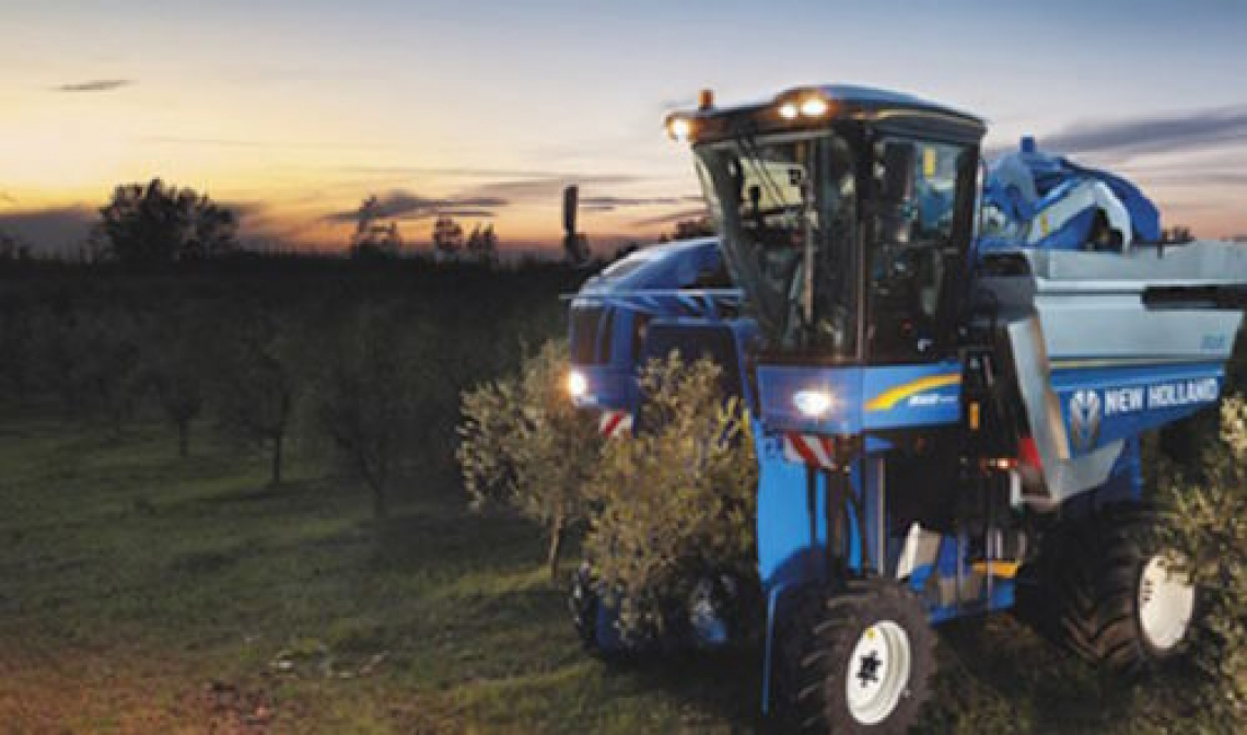 Nuovo stop alla raccolta notturna delle olive in Spagna