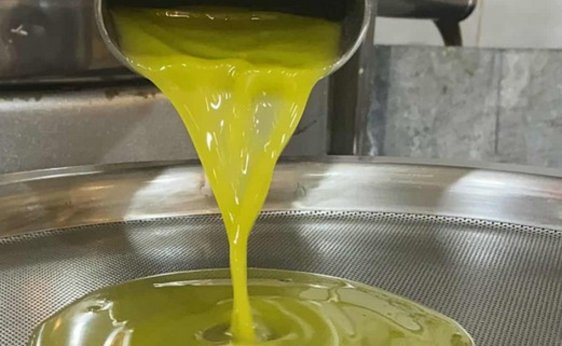 L’influenza del frangitore sul contenuto fenolico degli oli di oliva di Coratina e Ogliarola