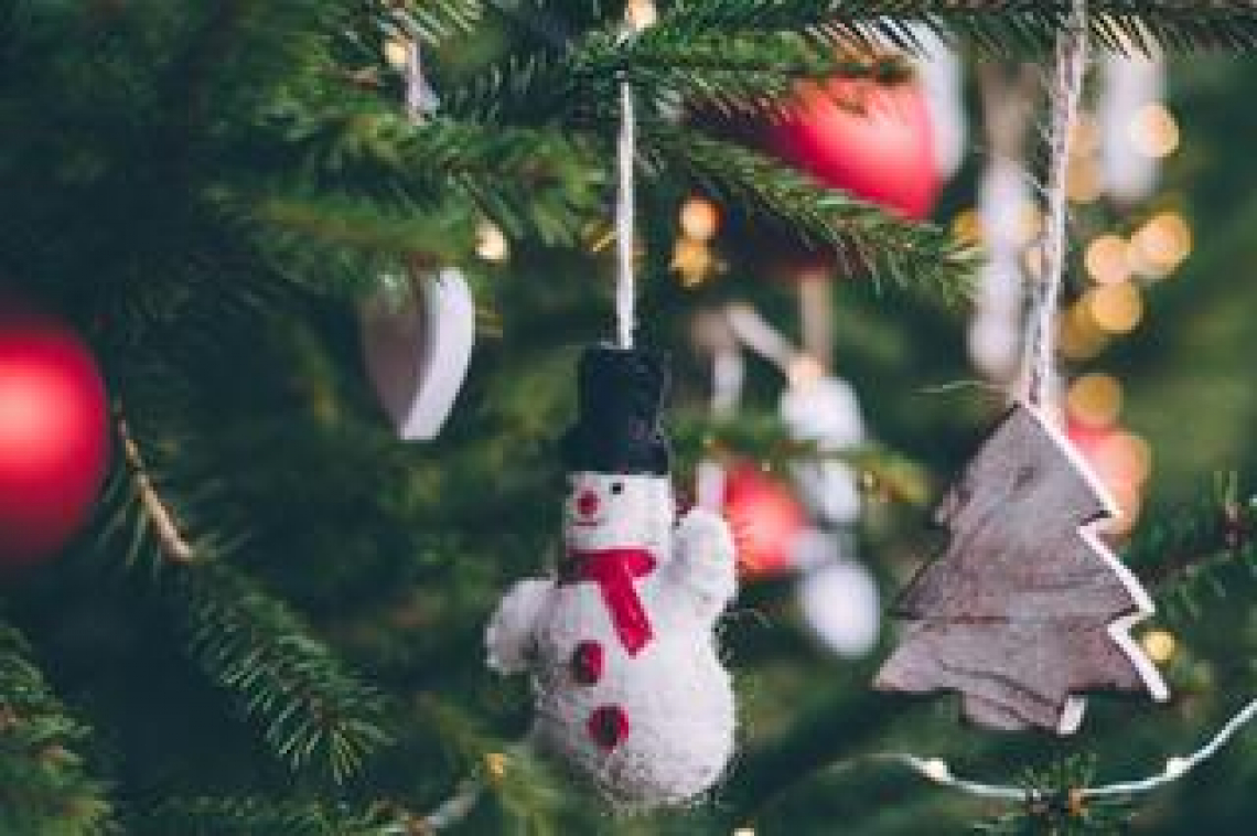 Natale sul Gargano: Vico diventa il Borgo dei Presepi