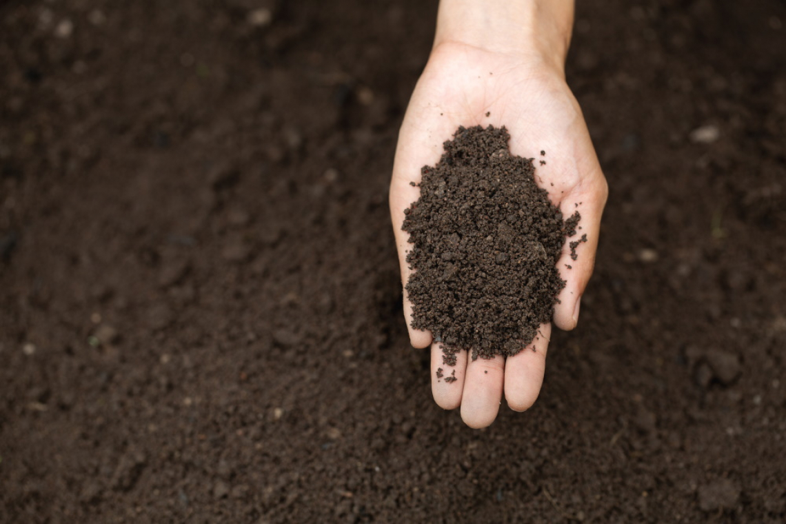 L’agricoltura è sostenibile: le soluzioni per la COP28