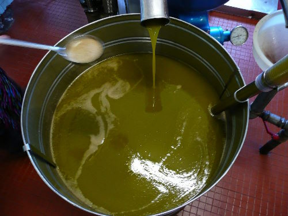 Ecco come e quanto le impurità influiscono su densità e viscosità dell’olio extra vergine di oliva