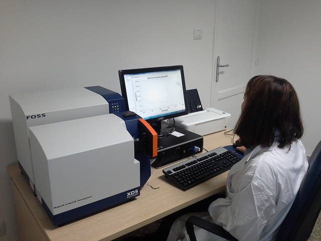 La battaglia per la qualità dell'olio d'oliva passa per la 