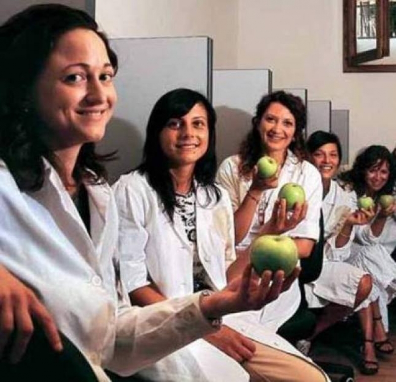 Le mele dopo l'assaggio dell'olio - Univ. di Bologna, sede di Cesena