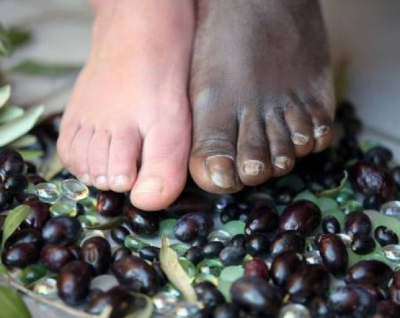 La molitura delle olive - Foto di Antonella Rosciano, premio BiolPhoto