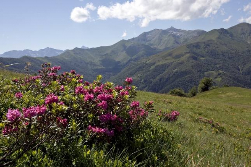 L'Oasi Zegna, area montana protetta piemontese