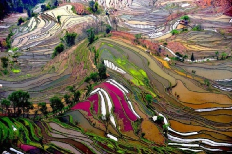 Quando è l'agricoltura a dare spettacolo