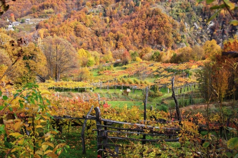 I colori dell'autunno